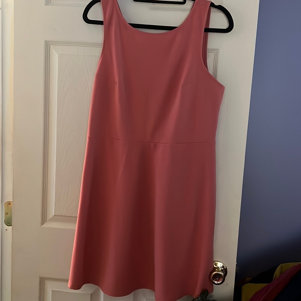 Express dress large